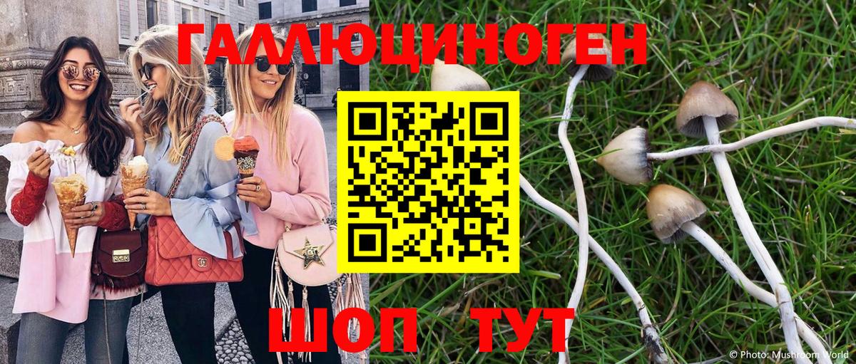 Псилоцибиновые грибы MAGIC MUSHROOMS Рассказово